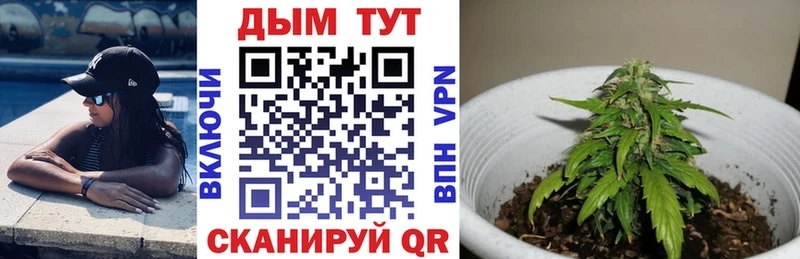Где купить наркотики Ноябрьск Гашиш  A-PVP  МЕТАМФЕТАМИН  Марихуана  Меф мяу мяу 