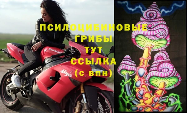 спайс Северская