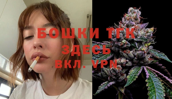 mdpv Вяземский