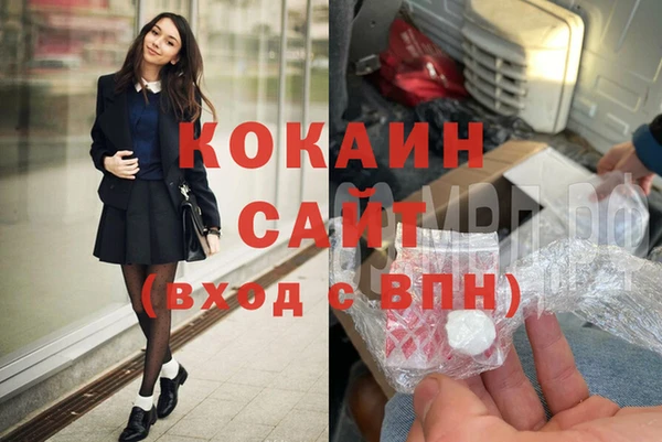 сатива Вязьма