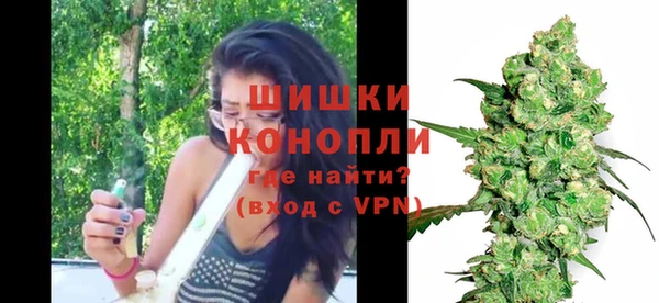 PSILOCYBIN Мостовской