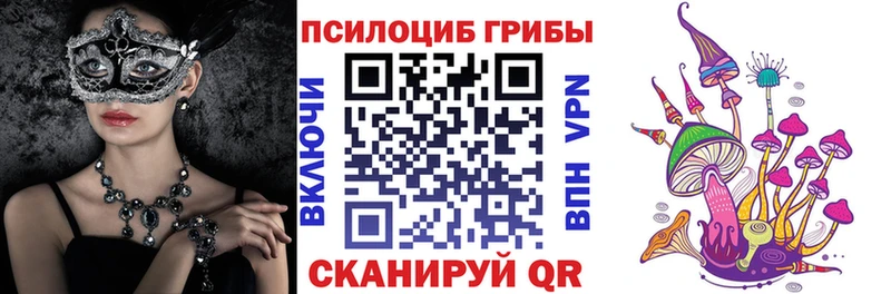 Галлюциногенные грибы мицелий  гидра ссылка  Ноябрьск 