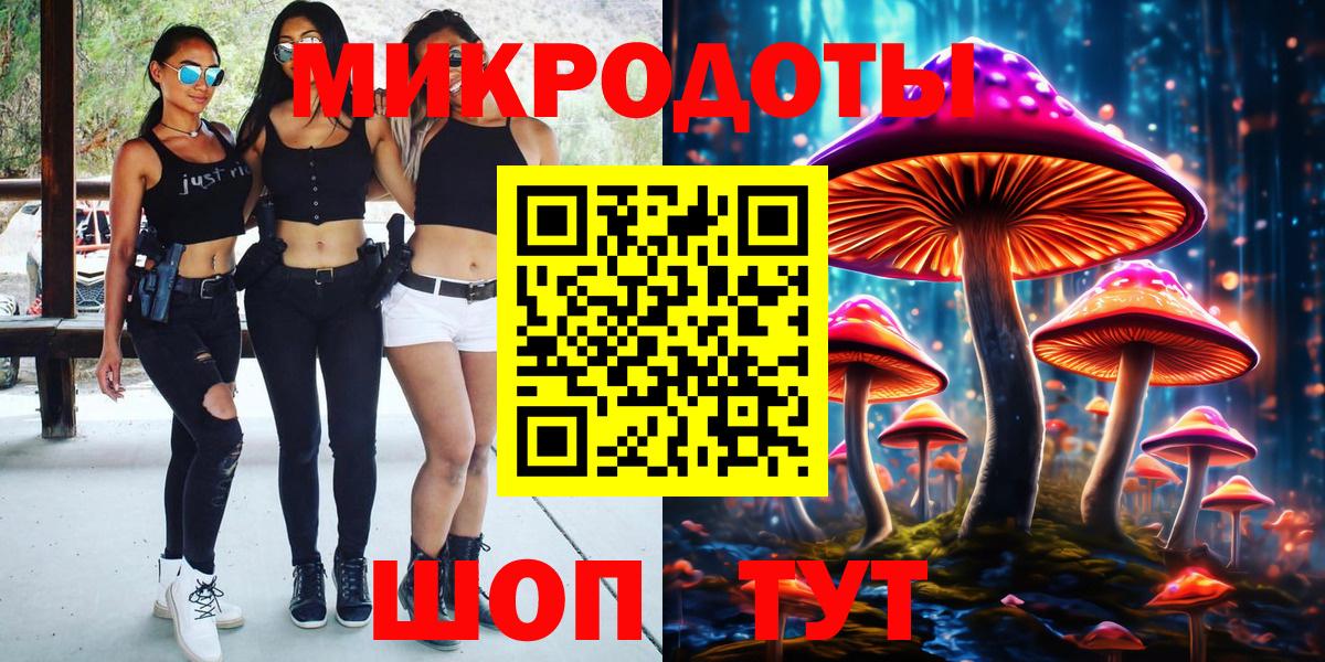 Псилоцибиновые грибы Psilocybe Ноябрьск