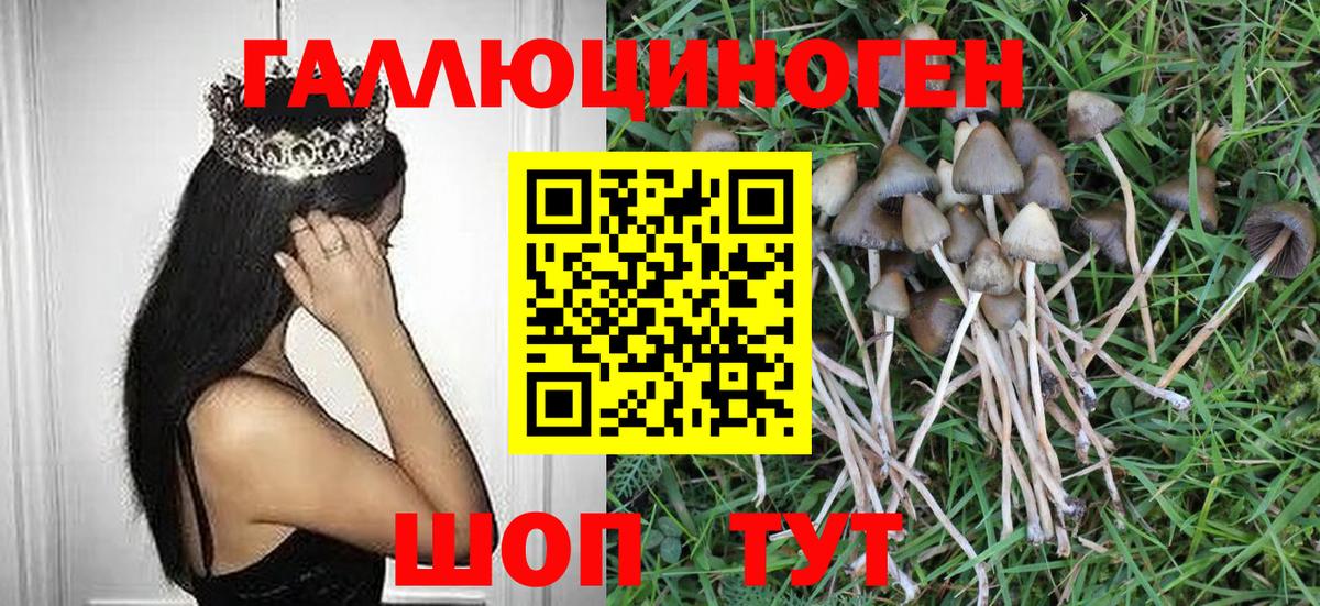 Ноябрьск  Псилоцибиновые грибы MAGIC MUSHROOMS  Вход с VPN  купить закладку  Псилоцибиновые грибы Psilocybe 