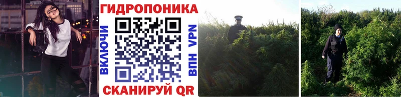 как найти наркотики Ноябрьск Бошки Шишки конопля